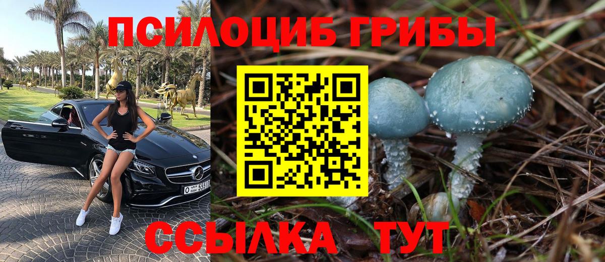 Кудрово  Галлюциногенные грибы MAGIC MUSHROOMS  Вход с VPN 