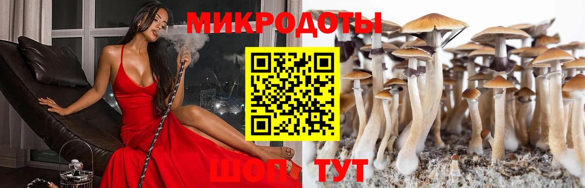 Галлюциногенные грибы MAGIC MUSHROOMS Кудрово