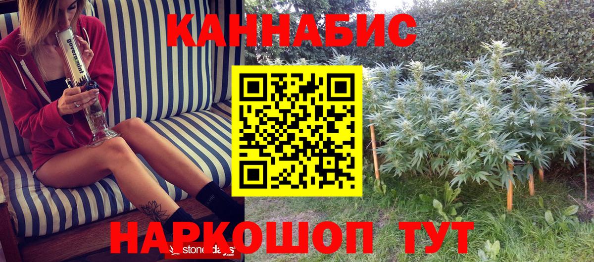Канабис гибрид Кудрово